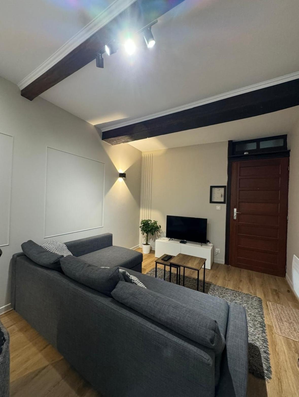 Appartement Charmant Hypercentre Avec Patio Prive Et Parking Орлеан Екстериор снимка