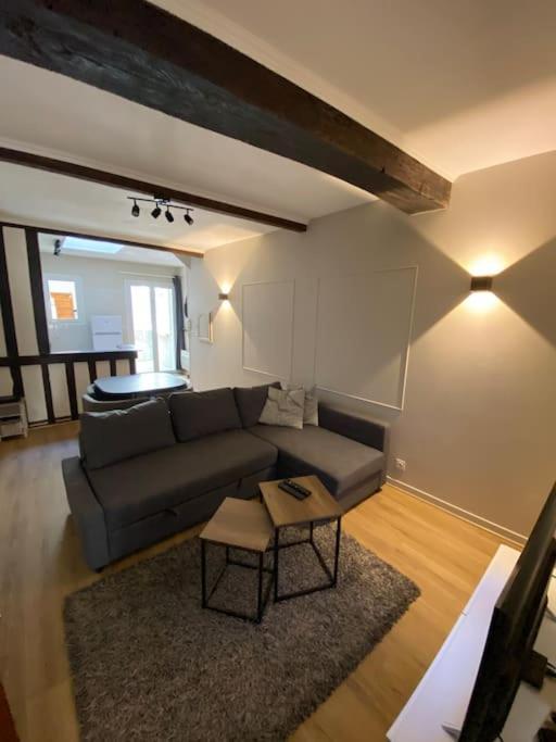 Appartement Charmant Hypercentre Avec Patio Prive Et Parking Орлеан Екстериор снимка